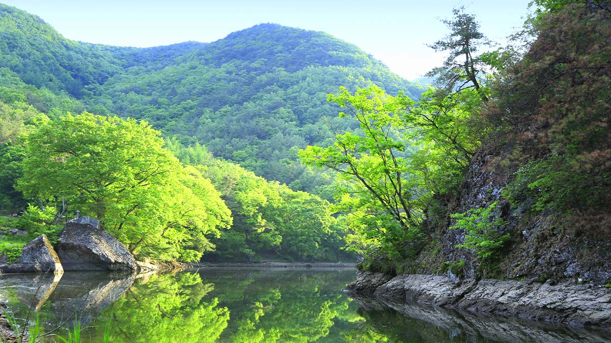 주왕산국립공원 주왕산국립공원