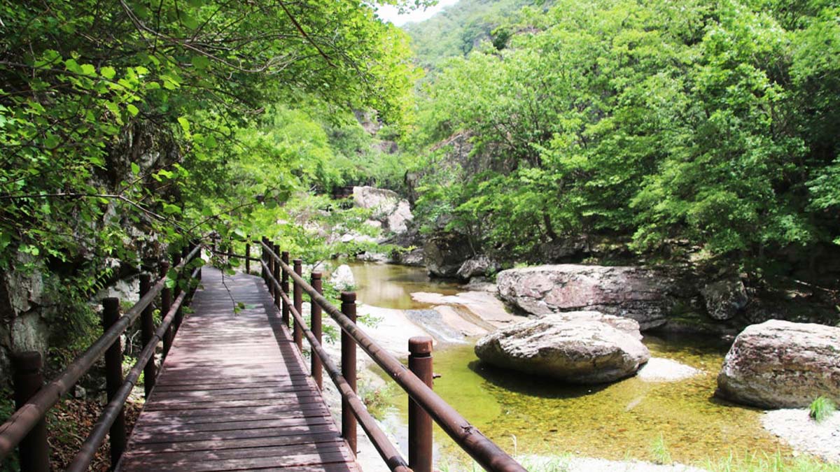 주왕산국립공원 계곡 주왕산국립공원 계곡