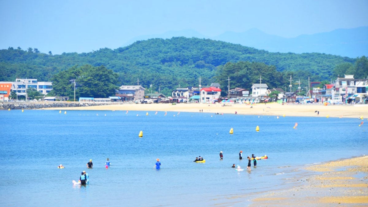 무창포해수욕장 해수욕 무창포해수욕장 해수욕