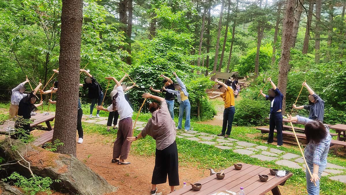 산림치유 프로그램 산림치유 프로그램