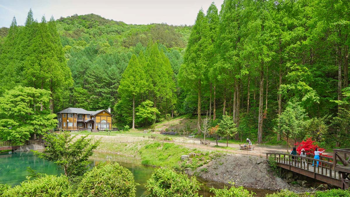 논산 온빛자연휴양림 논산 온빛자연휴양림