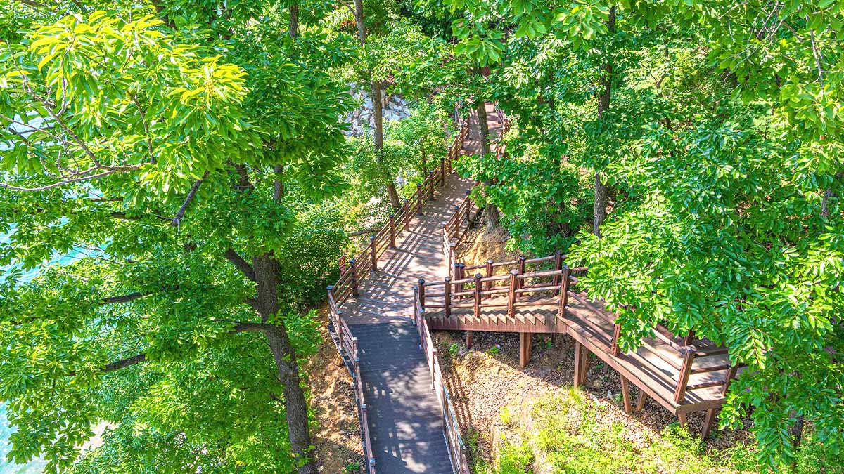 마장호수 산책길 마장호수 산책길