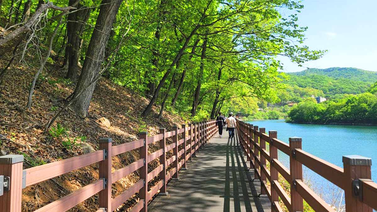 마장호수 트레킹 마장호수 트레킹