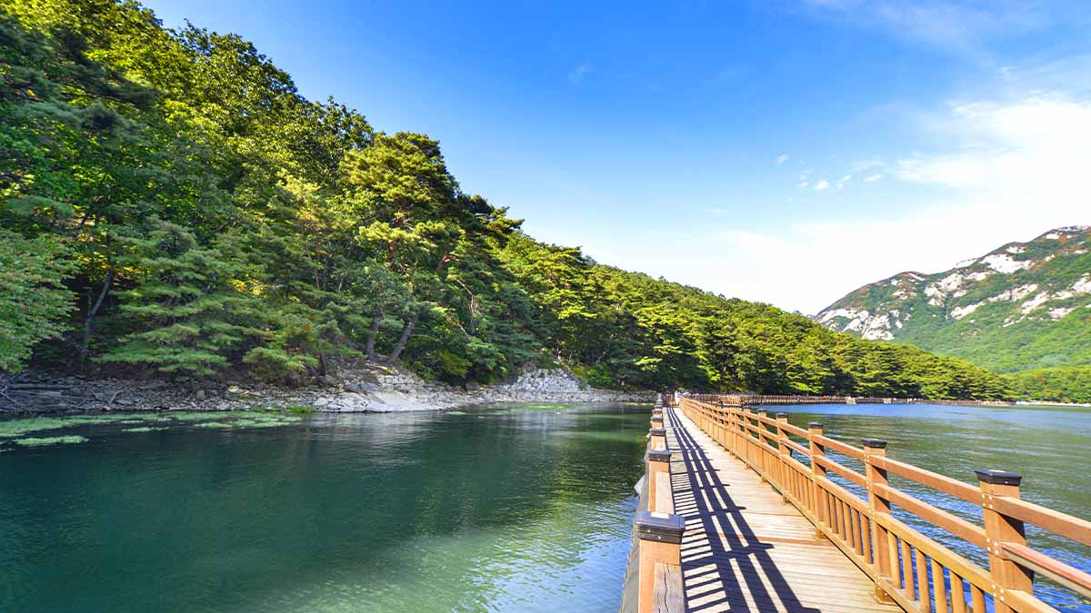 산정호수 데크길 산정호수 데크길