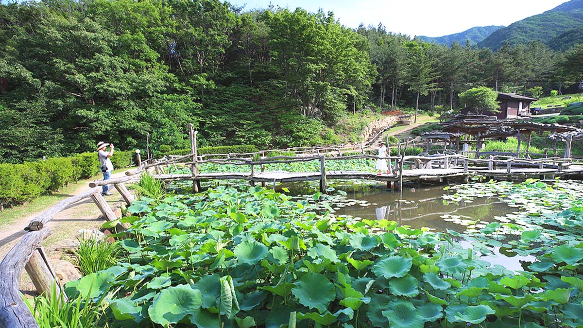 수선사 연못 수선사 연못
