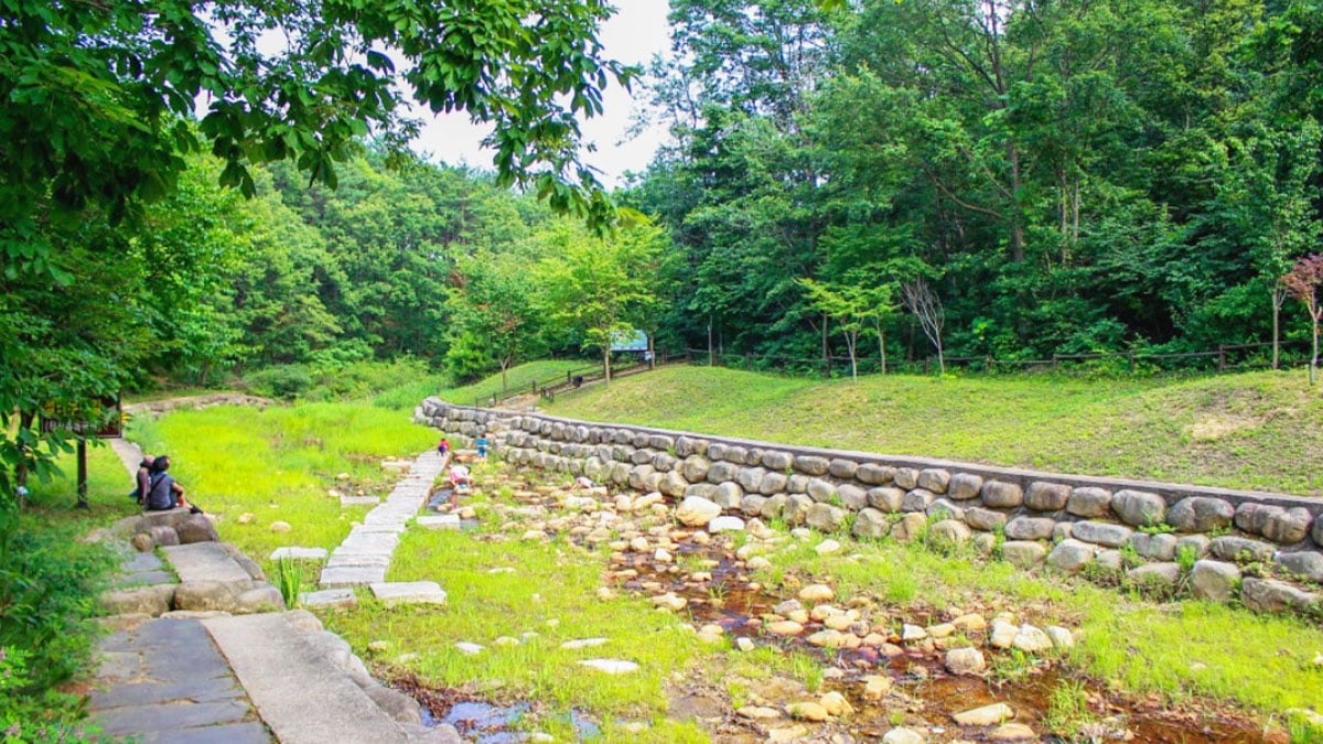 설악산 자생식물원 쉼터 설악산 자생식물원 쉼터