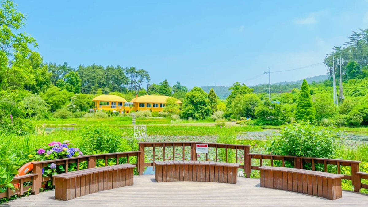 태안 천리포수목원 태안 천리포수목원