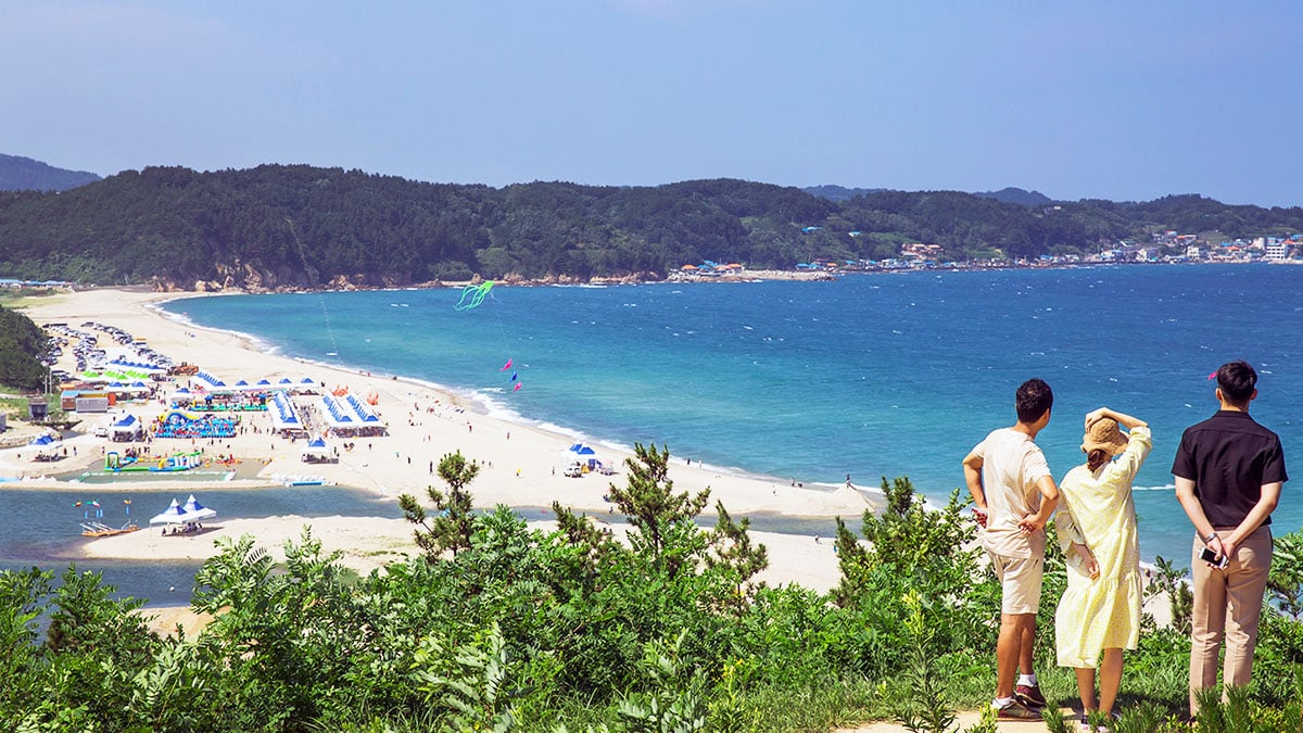 망양정 해수욕장 전경 망양정 해수욕장 전경