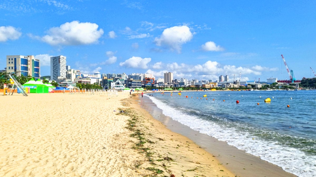 울산 일산해수욕장 백사장 울산 일산해수욕장 백사장