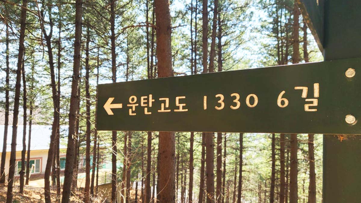 운탄고도 1330 6길