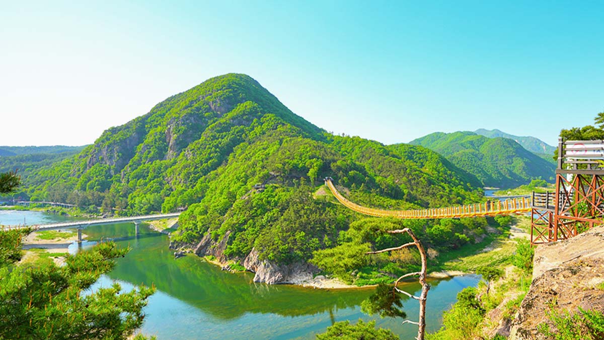월영산 출렁다리 월영산 출렁다리
