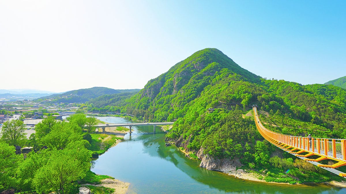 월영산 출렁다리 풍경 월영산 출렁다리 풍경
