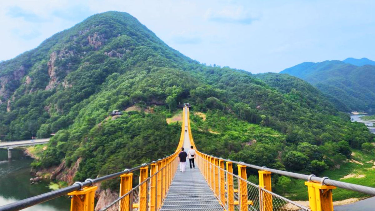 월영산 출렁다리 모습 월영산 출렁다리 모습