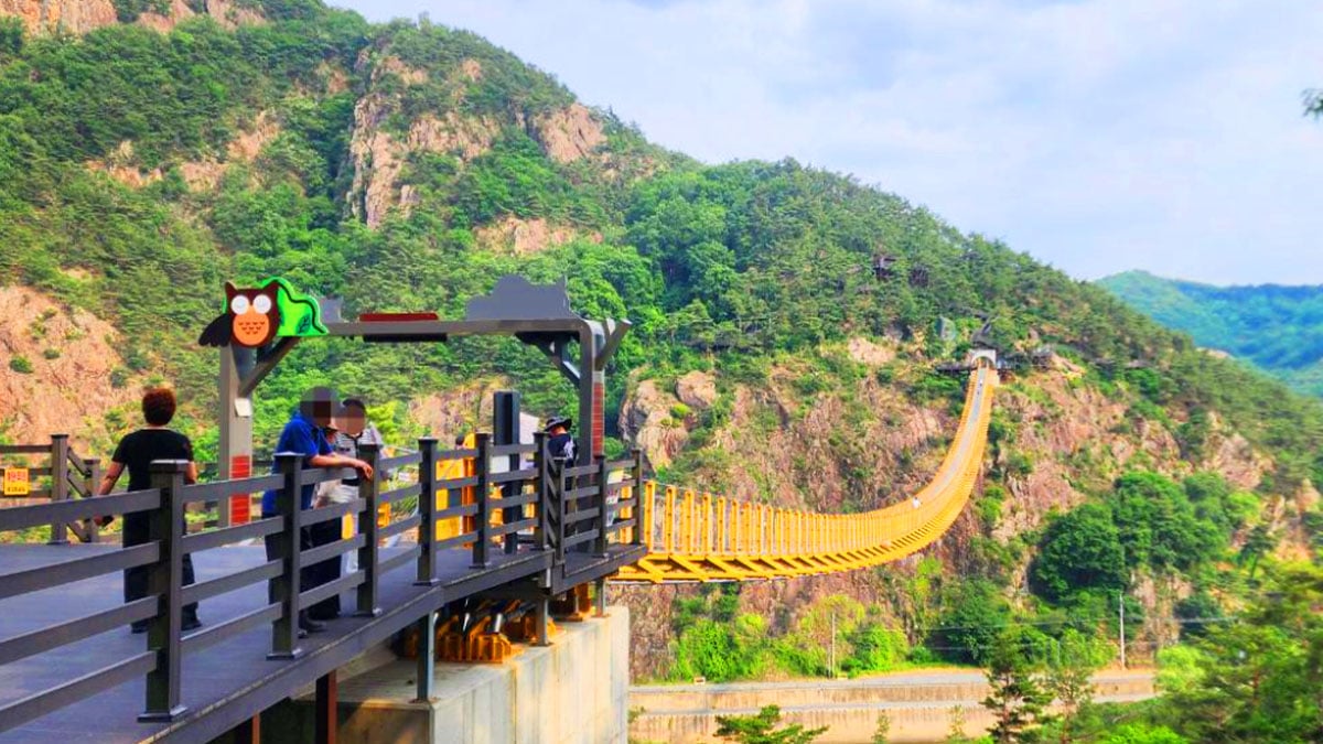 월영산 출렁다리 월영산 출렁다리