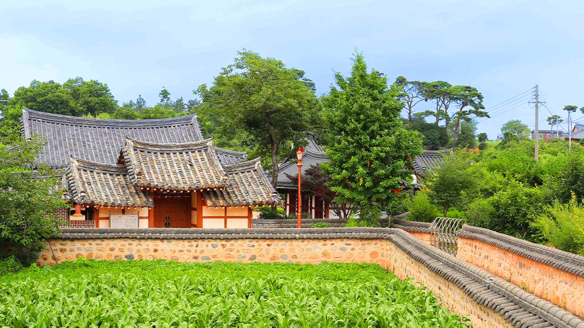 영암 구림마을 돌담길 영암 구림마을 돌담길
