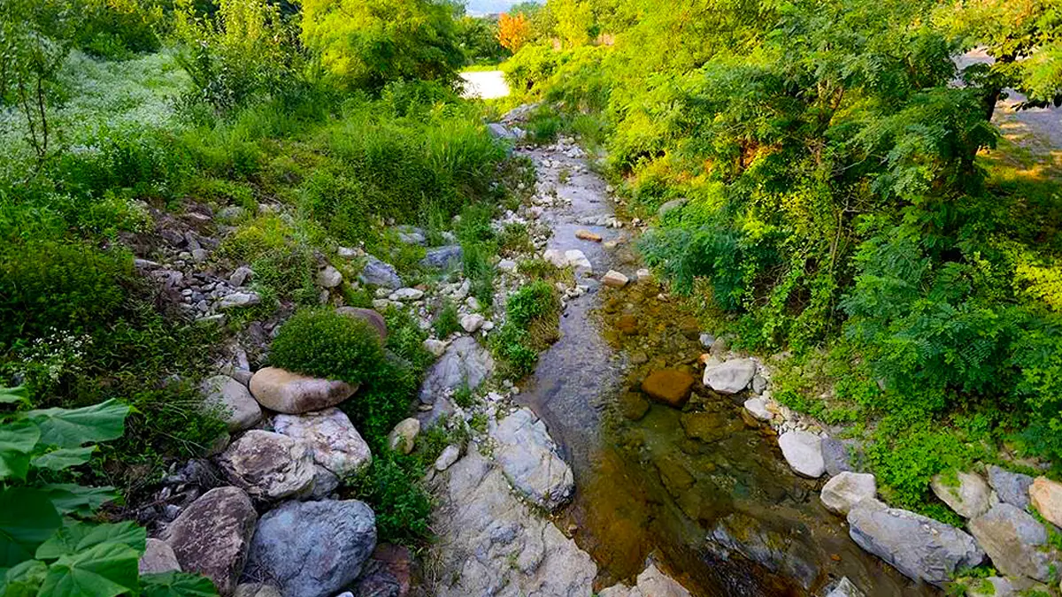 청도 남산계곡 전경