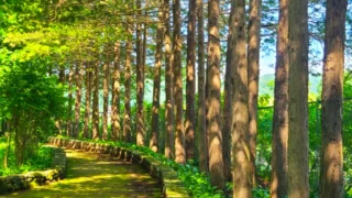 청추 미동산수목원 산책길