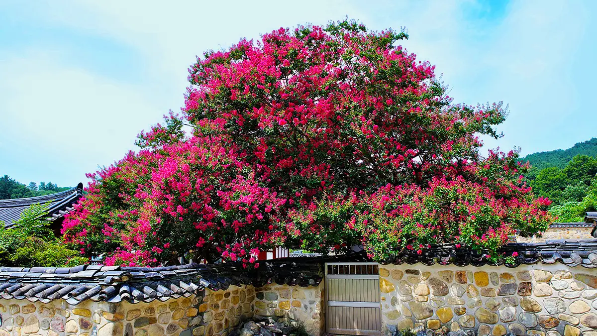 충곡서원 충곡서원