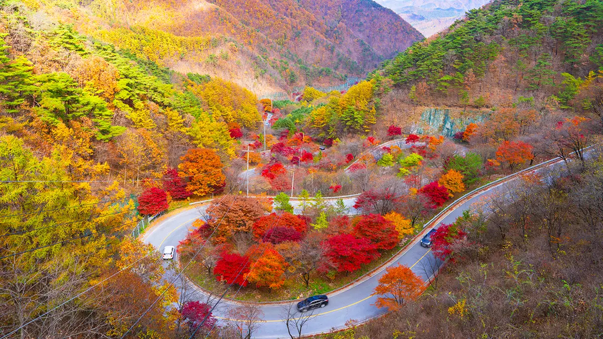 보발재 전망대 보발재 전망대