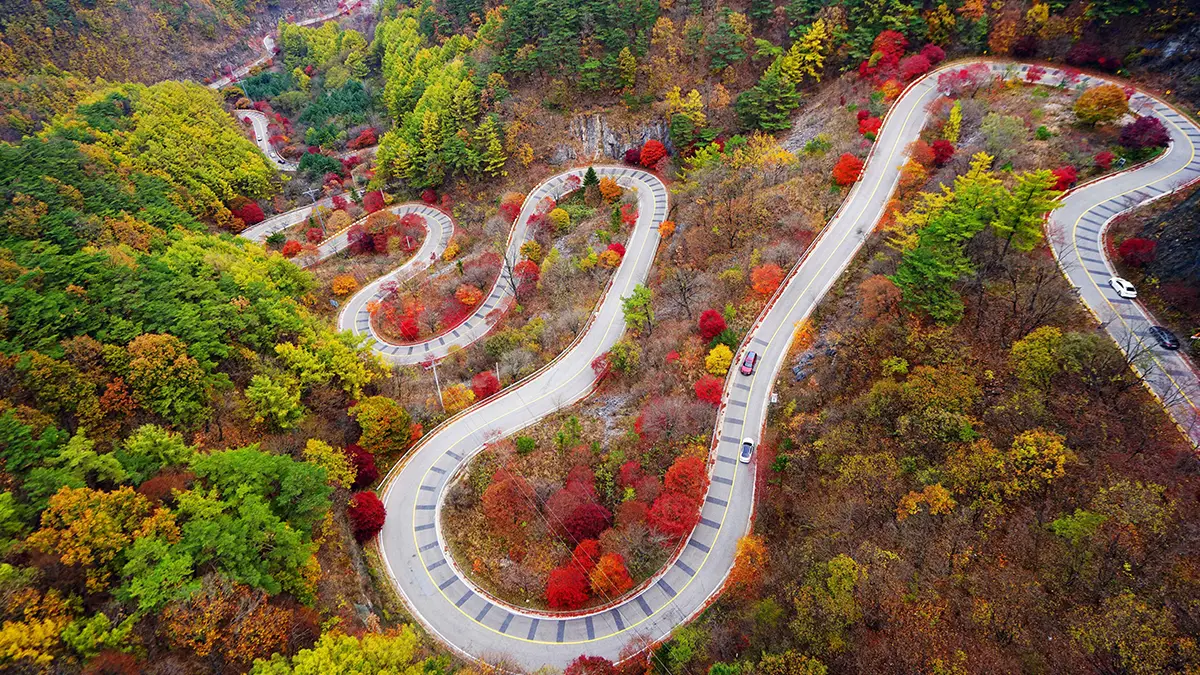 보발재 전망대 드라이브 보발재 전망대 드라이브