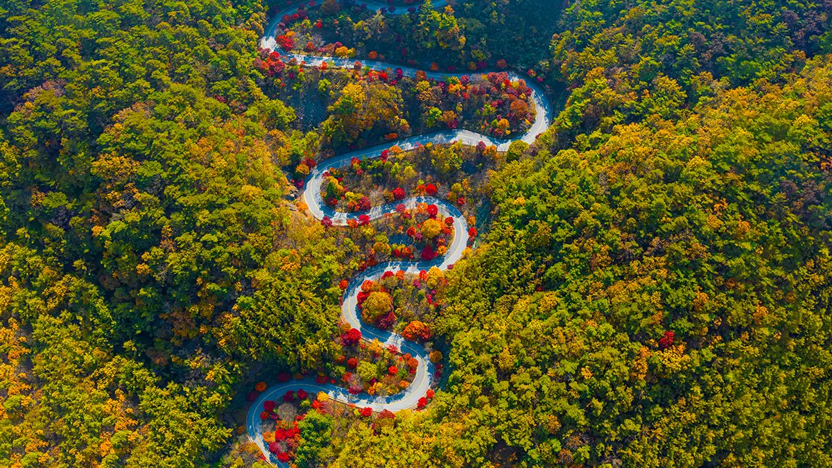 보발재 전망대 전경 보발재 전망대 전경