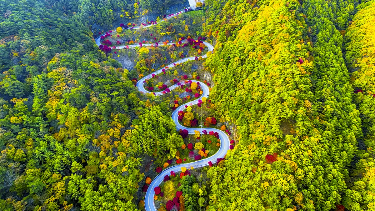 보발재 전경 보발재 전경