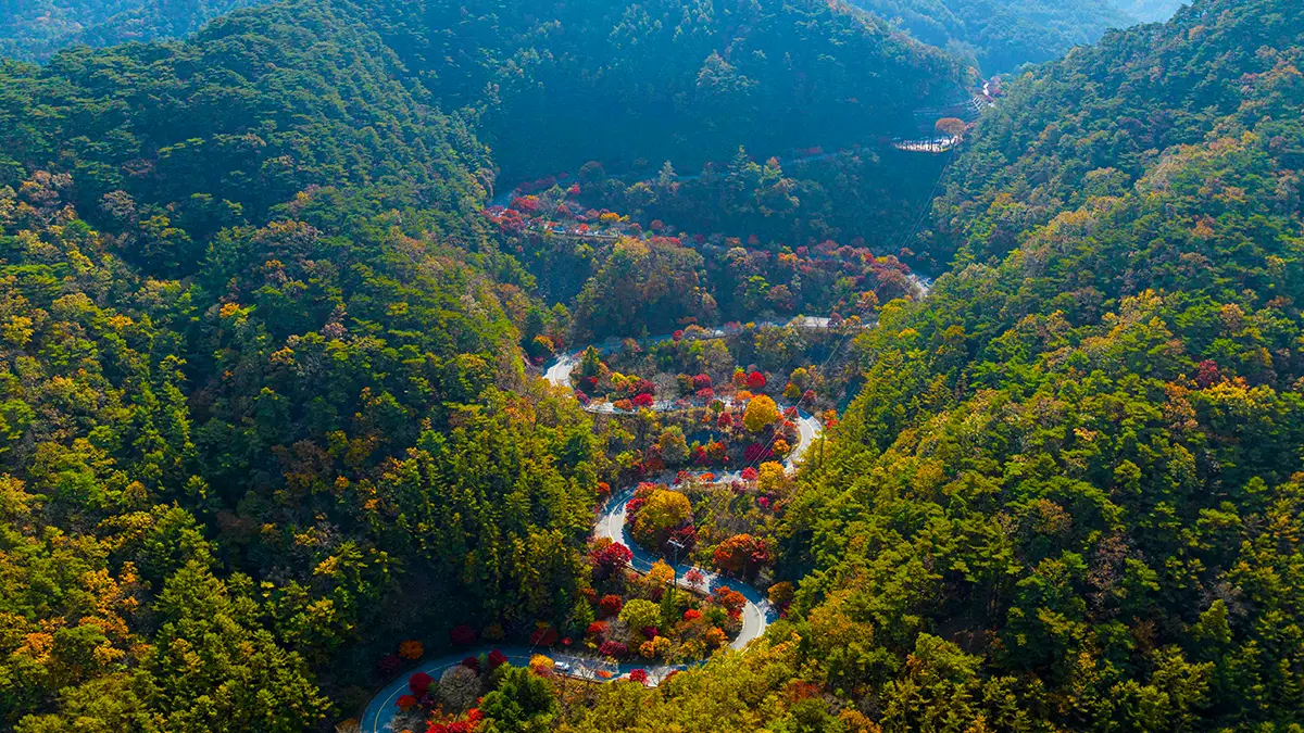 보발재 드라이브 보발재 드라이브
