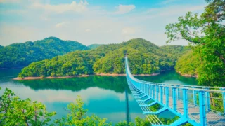 진천 미르 309 출렁다리