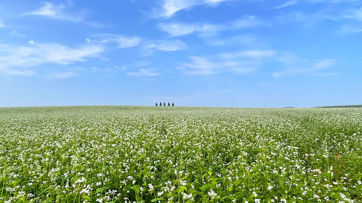 이런 풍경이 입장료도 없다고요?\, image size:1200x675