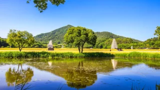 익산 미륵사지 전경