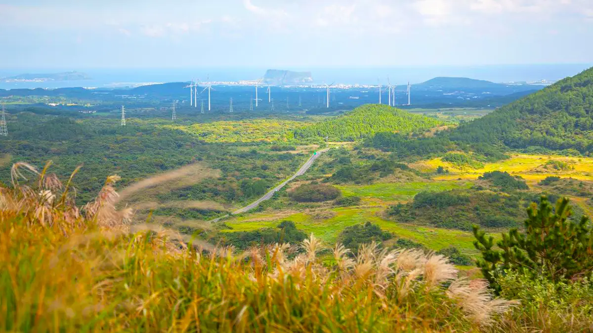 백약이오름 정상