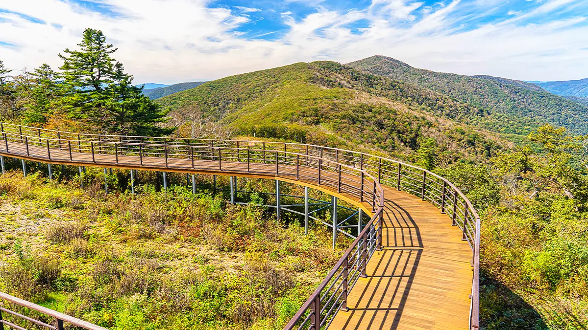 가리왕산 데크로드