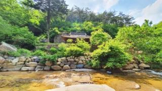 선유동계곡에서 바라본 학찬정