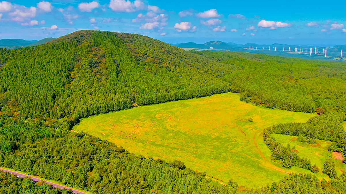 물영아리오름 전경 물영아리오름 전경