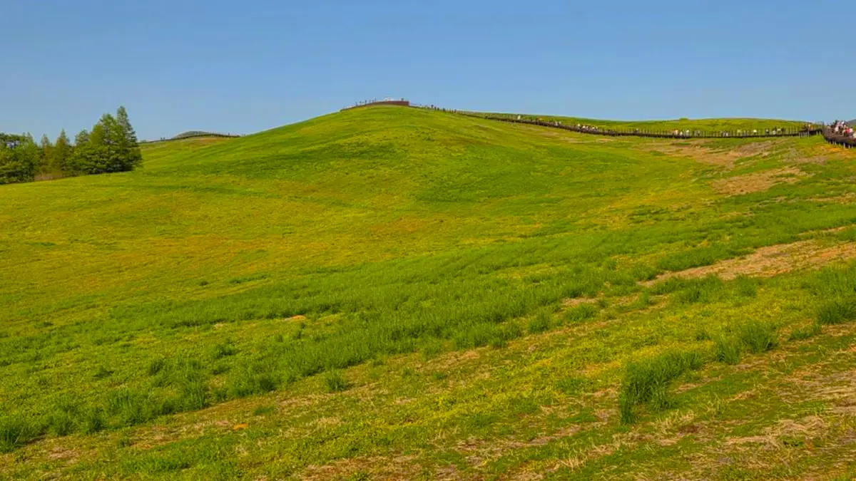 서산 한우목장길 서산 한우목장길