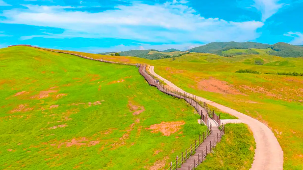 서산 한우목장길 산책로