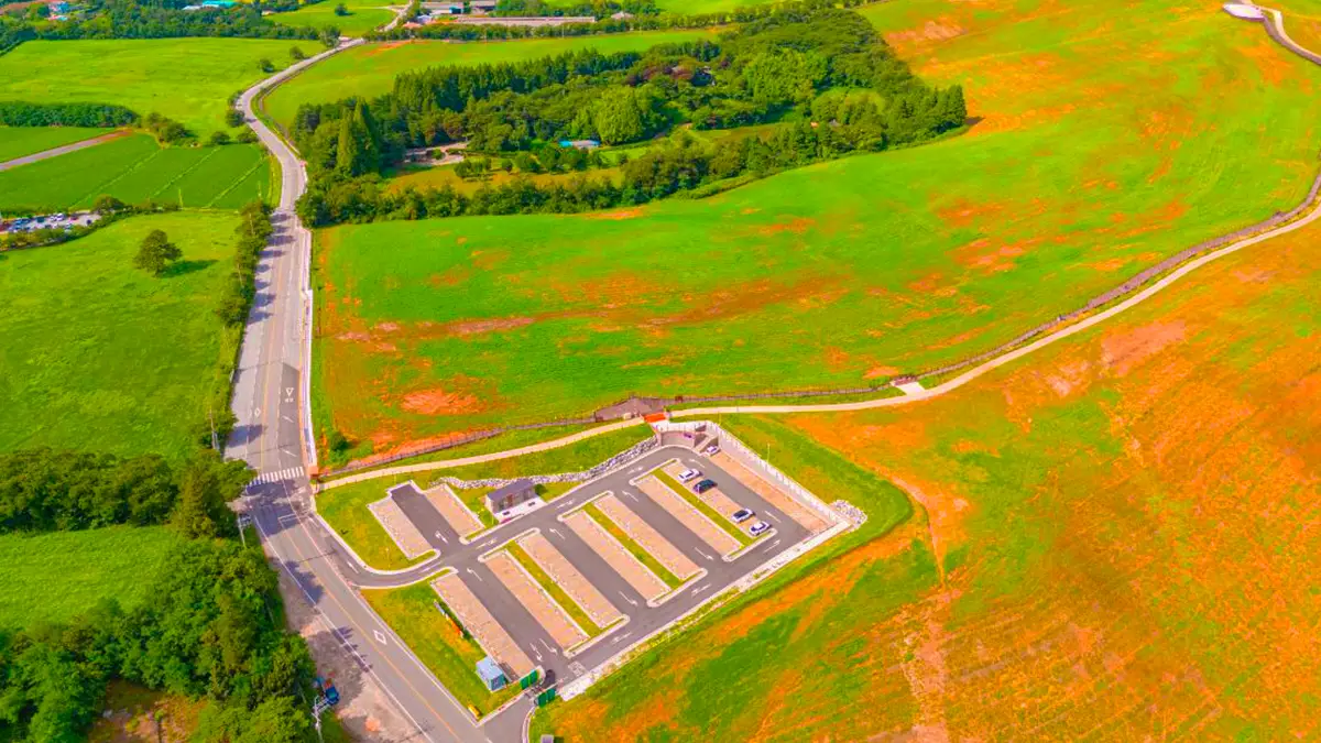 서산 한우목장길 항공 서산 한우목장길 항공