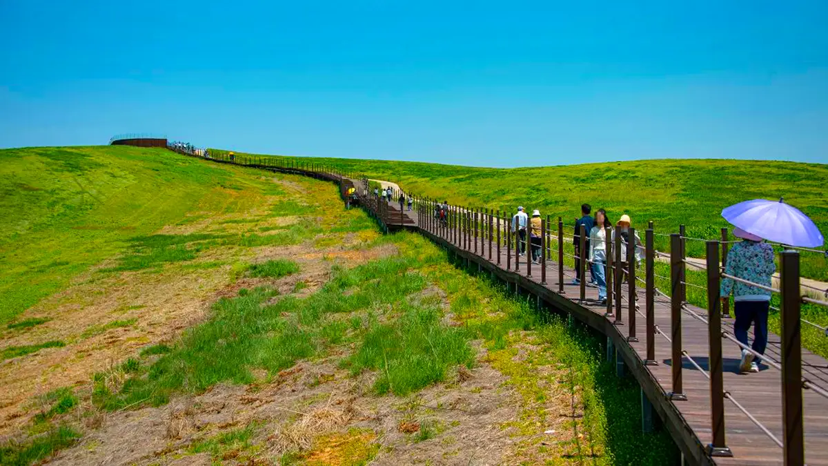서산 한우목장길 웰빙 산책로 서산 한우목장길 웰빙 산책로