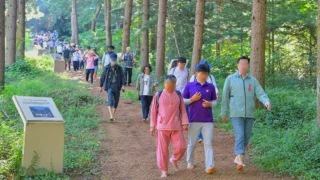 제1회 원주 운곡솔바람숲길 맨발걷기 축제