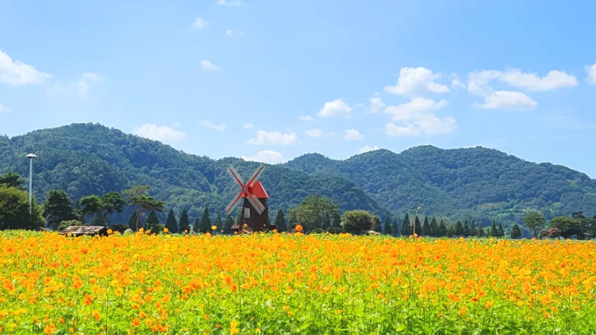 남지체육공원 풍차