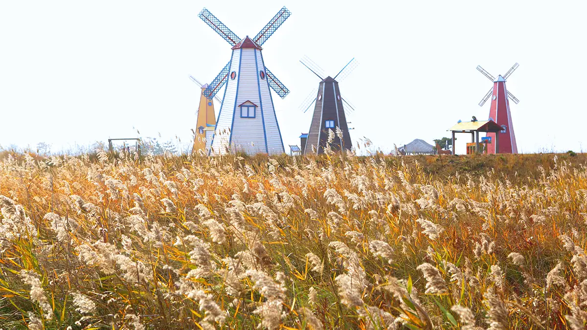 대부바다향기테마파크 대부바다향기테마파크