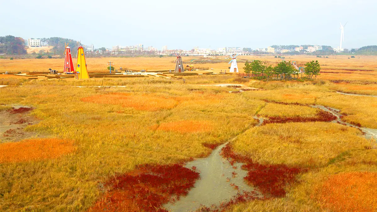 대부바다향기테마파크 모습 대부바다향기테마파크 모습