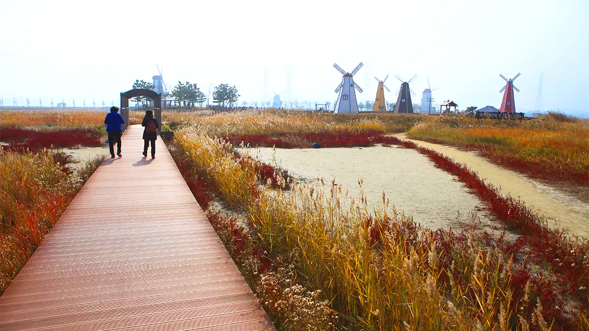 대부바다향기테마파크 산책 대부바다향기테마파크 산책