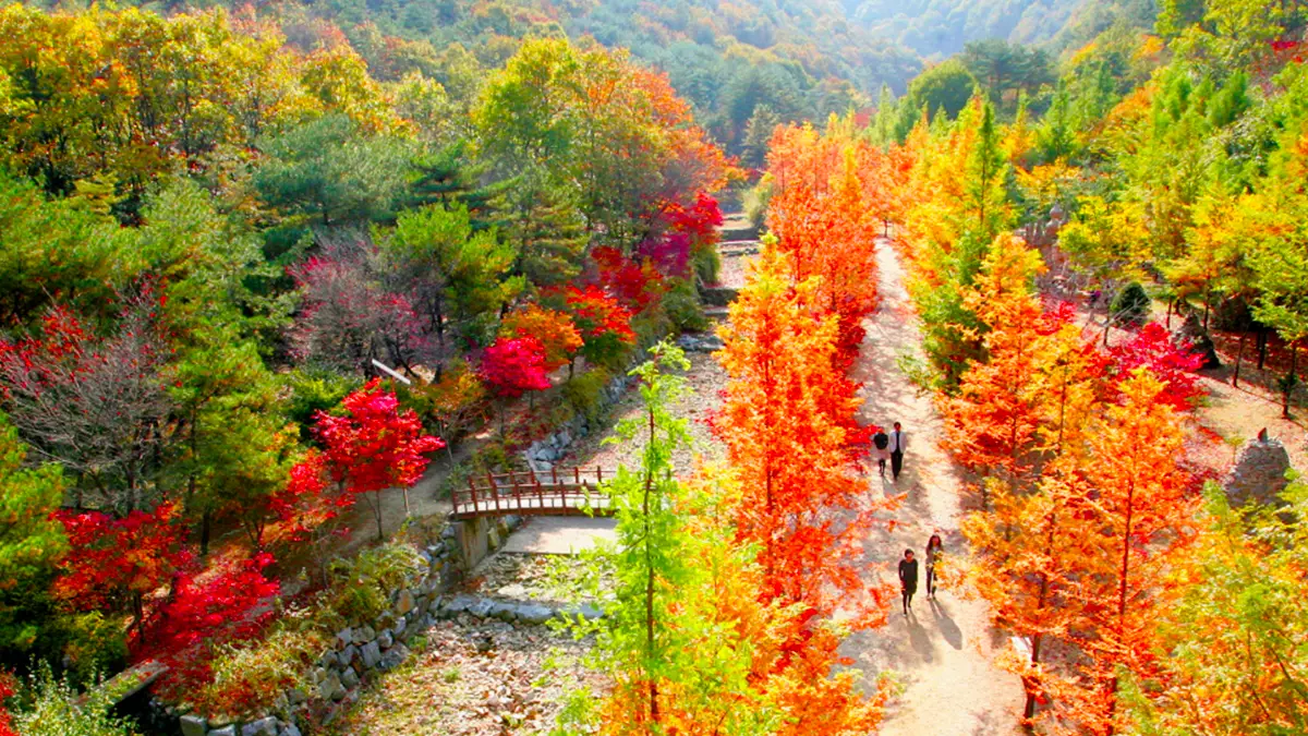 대전 상소동 산림욕장 대전 상소동 산림욕장