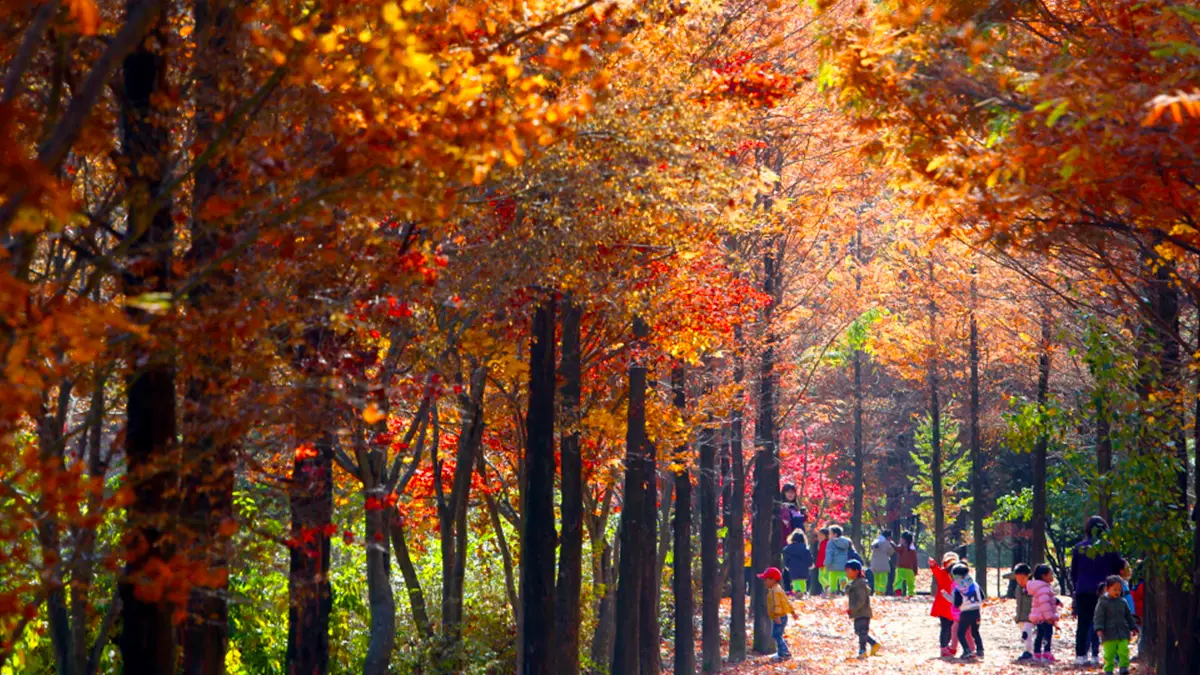 상소동 산림욕장 상소동 산림욕장