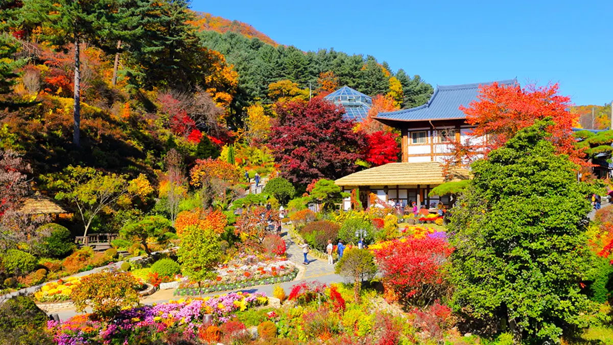 가평 아침고요수목원 가을