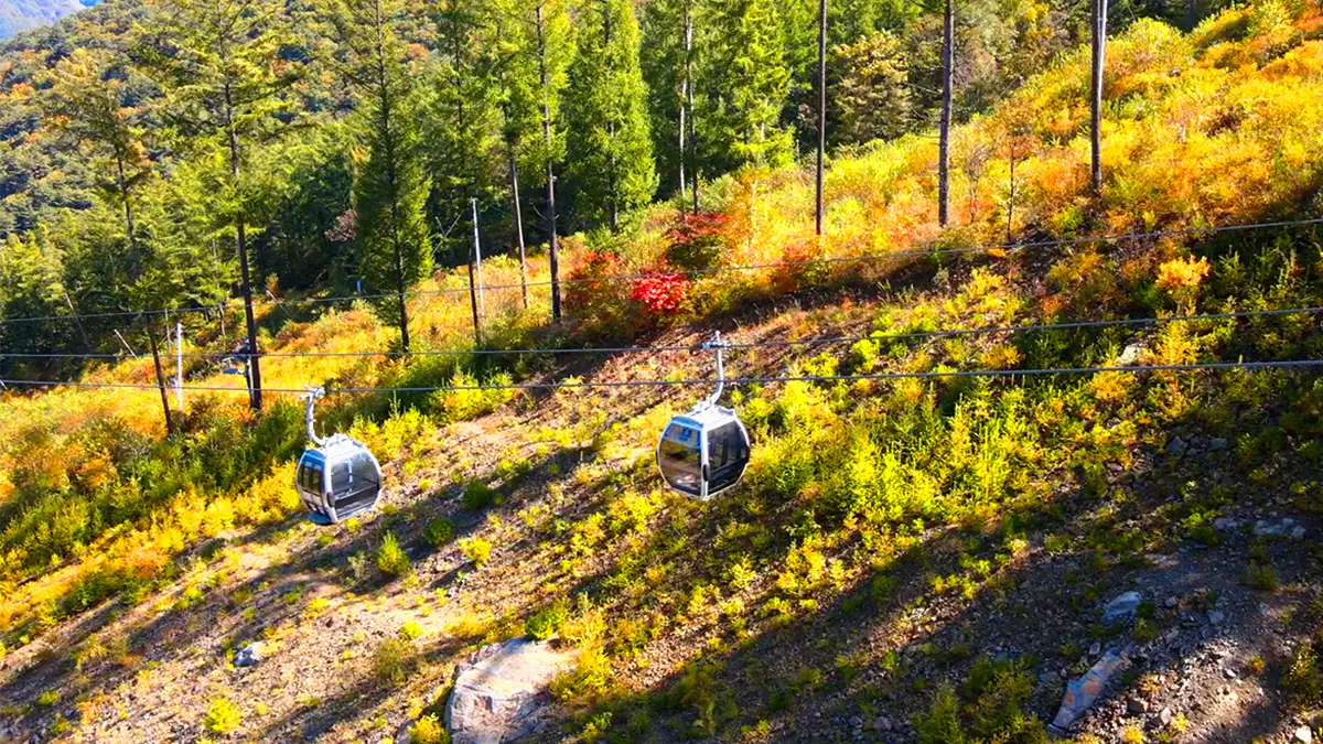 가을 가리왕산 케이블카