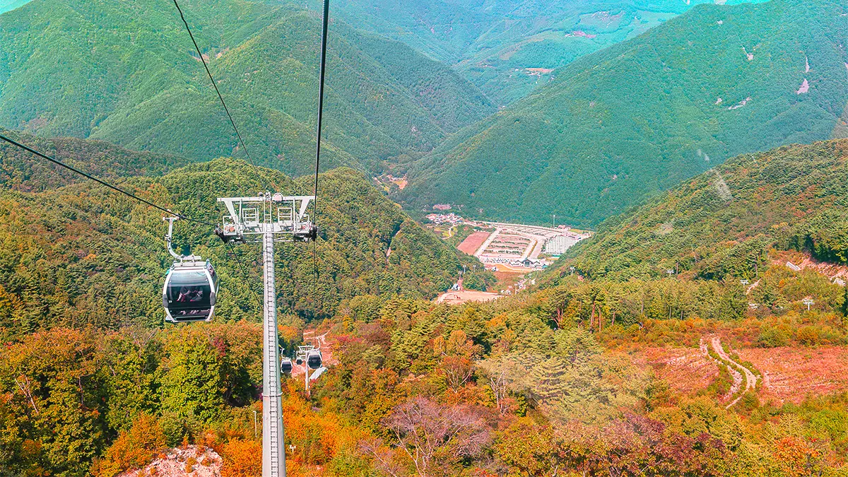 정선 가리왕산 케이블카