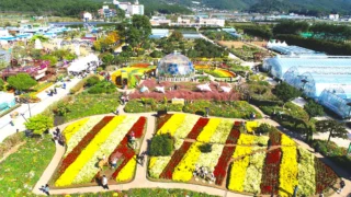 거제섬꽃축제