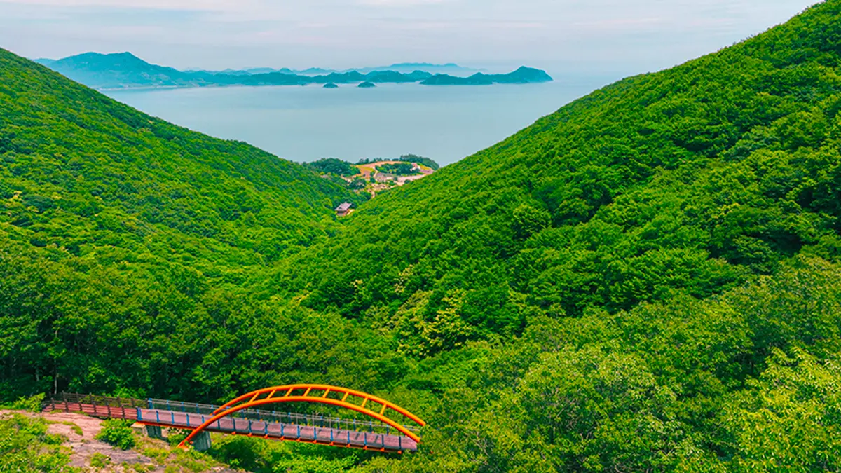 거금생태숲 구름다리 거금생태숲 구름다리